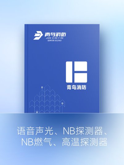語(yǔ)音聲光、NB探測(cè)器、NB燃?xì)?、高溫探測(cè)器